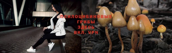 марки nbome Алексеевка