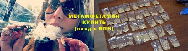 шишки Няндома